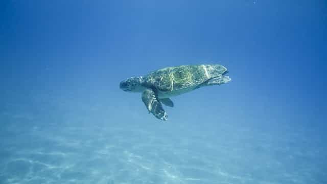 Crociere in barca a vela per due